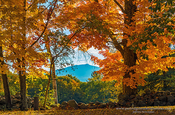 161016Go0oldenFrameMarlboroughNH