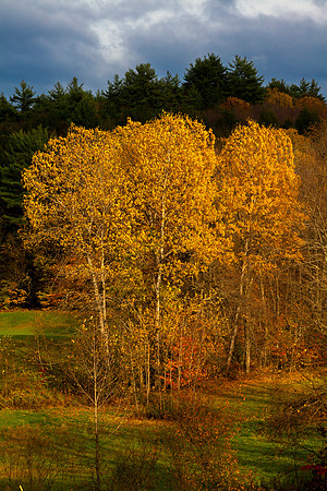 color on the hill, guilford, Vermont,