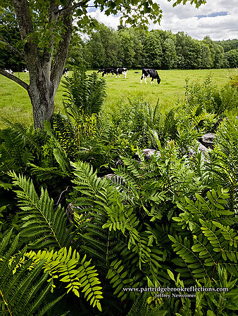 090705LostWallKeeneNH
