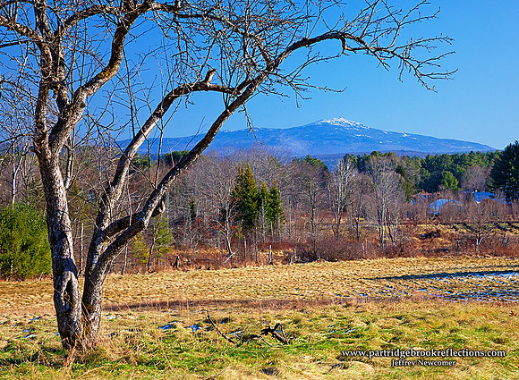 111211WhiteCapKeeneNH