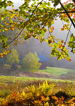 Hillside Shack, Londonderry