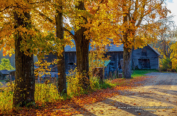 Blue Barn, Chesterfield, NH