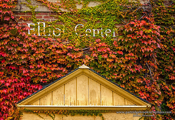 141031ElliotCenterIvyKeeneStateKeeneNH