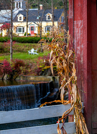 Corn Stalk, Green River, Guilford, Vermont