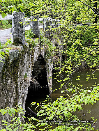 060513SpringGreeningStoneBr
