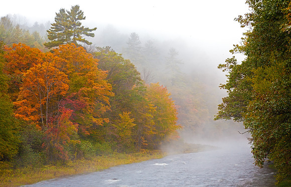 Autumn Mist, Jamaca, Vermont