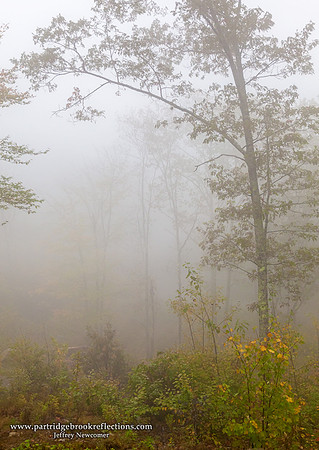 Devenseller Mist, Lincolnville, Me