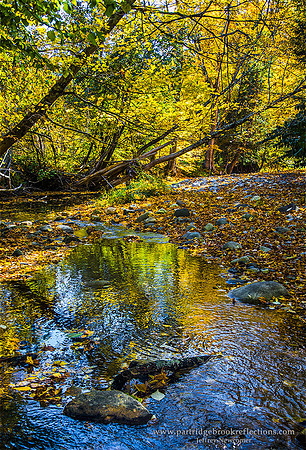 161015BroadBrookReflectionGuilfordVt