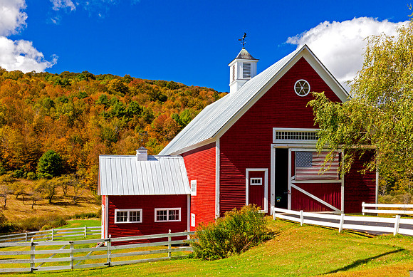 Pine Hollow Autumn, Pomfret, Vt