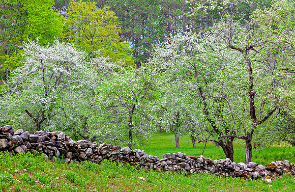 Orchard Stones, Brattleboro, Vt