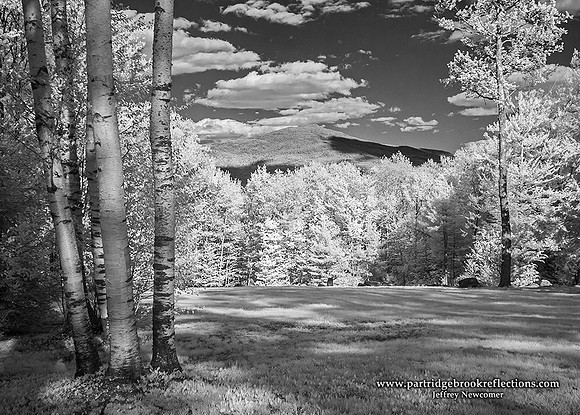 130517MeeingHouseGreenMarlboroughNH