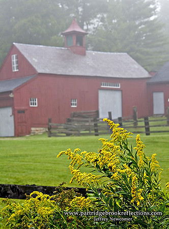 050902RedBarnFogKeeneS