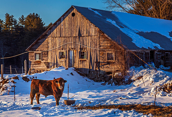 Gizmo's World, Westmoreland, NH