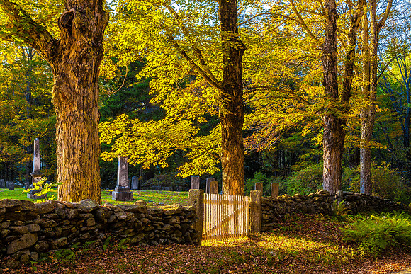 Cemetery Wal, Newfane, Vtl