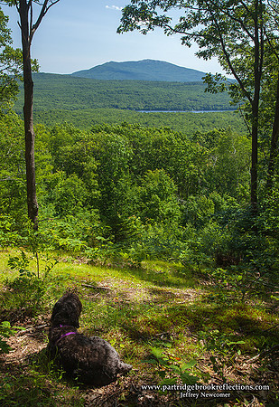 090712CobbHillViewHancockNH