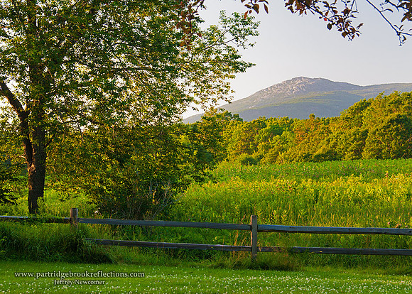 060713SpingFenceJaffreyNH