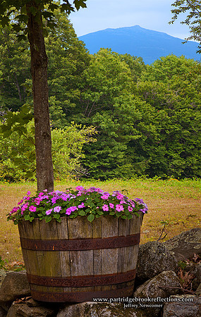 120723MonadnockBarrelMarlboroughNH