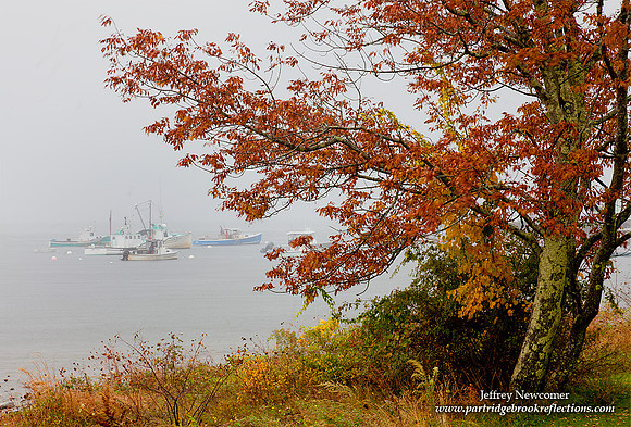 Harbor Mist, Lincolnville Beach, Me
