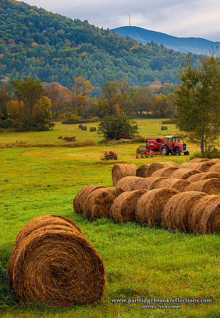 Harvest Bales, Reading, Vt
