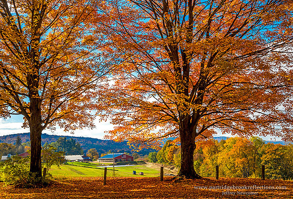 161017DairyLightWestmorelandNH