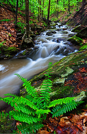 Spring Brook, East-West Road, Dummerston, Vt