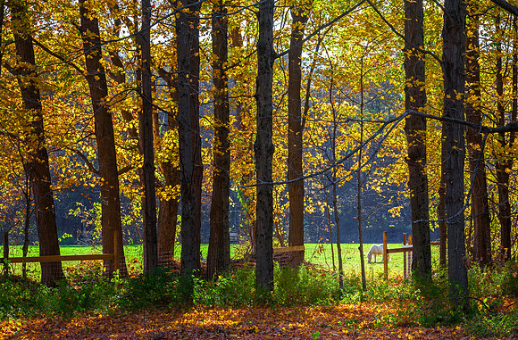 Pasture Light, Northfield, Ma