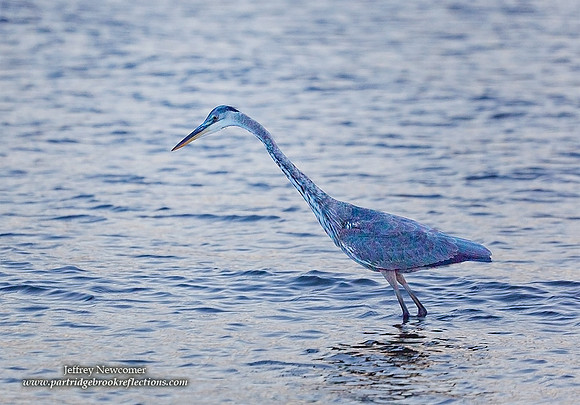 DawnFishing,  Lincolnville Beach, Me