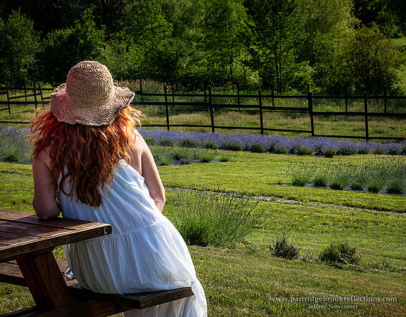 240626GardenWatchWalpoleNH