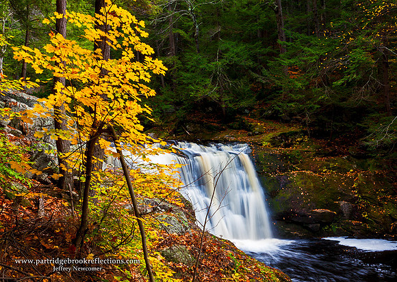Maple Falls, Lower Doane's Falls, Royalston, MA
