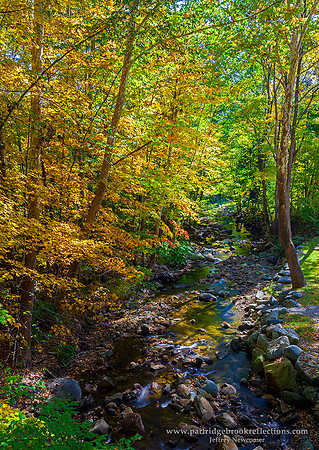 Smith Brook Color, Newfane, Vt