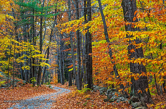 Shortcut, Chesterfield, NH