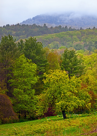 Hillside Spring Dummerston, Vt