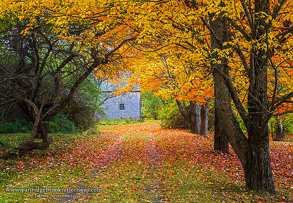 161017OneWindowChesterrfieldNH
