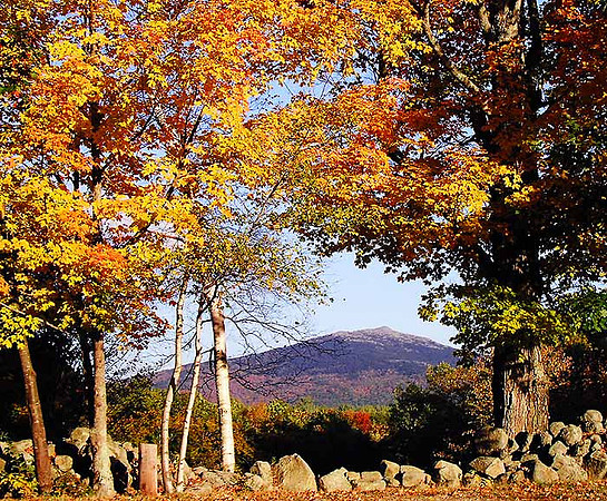 041011MonadnockYellowS