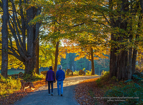 Into the Light, Chesterfield, NH