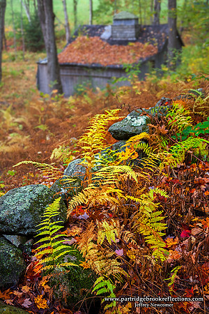 Sugar House Ferns, Marlborough, NH