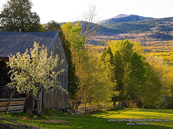 070514BacklightSpringJaffreyNH