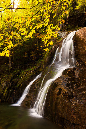 Golden Cascade