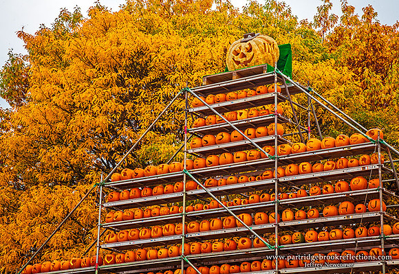 Golden Top, Keene, NH