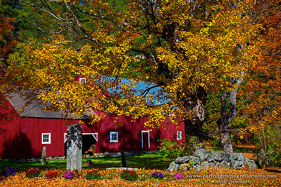 221009RedAndGoldSurryNH